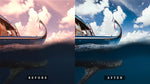 Load image into Gallery viewer, &#39;LUX*&#39; Split Shot Preset for Underwater Photo Editing
