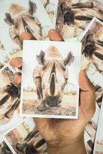 Load image into Gallery viewer, Kenya Sticker Pack

