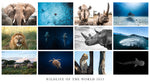 Load image into Gallery viewer, Limited Edition 2023 Wildlife Calendar - PRE ORDER
